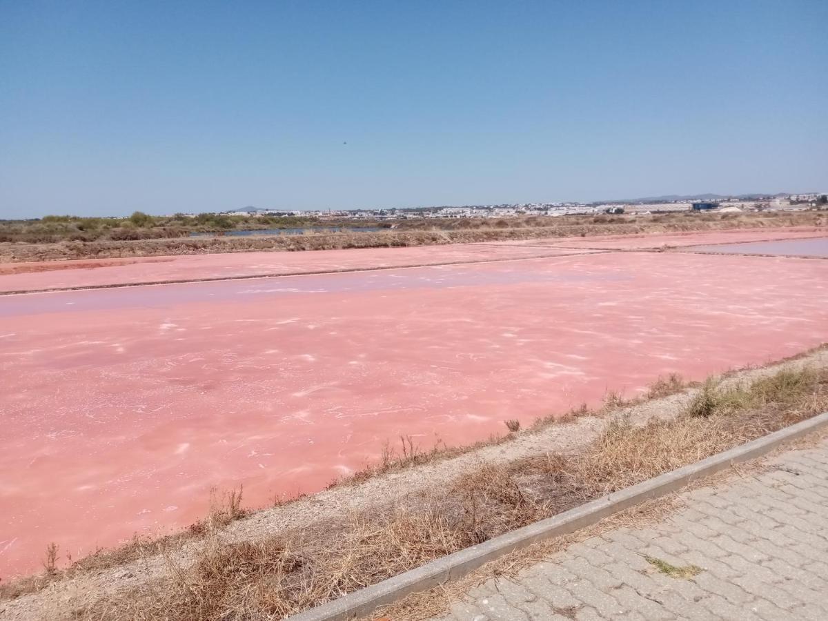 Le Boucanier Apartman Tavira Kültér fotó