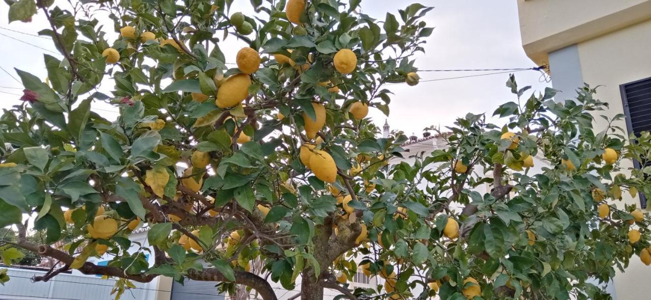 Le Boucanier Apartman Tavira Kültér fotó