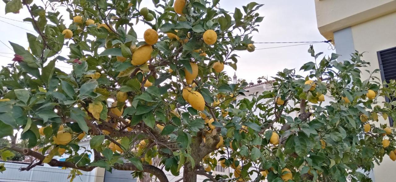 Le Boucanier Tavira Kültér fotó